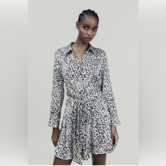 Zara Animal Print Mini Dress